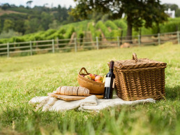 wine picnic basket